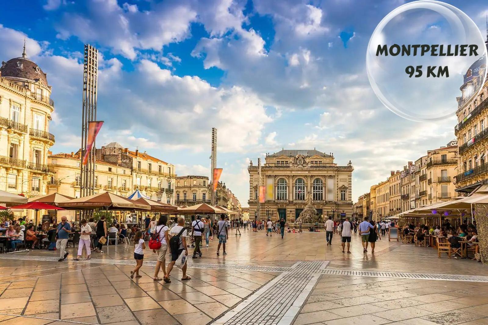Le Cosy Du Gal, A 2 Pas Du Palais Des Papes Parking Gratuit Securise Apartment