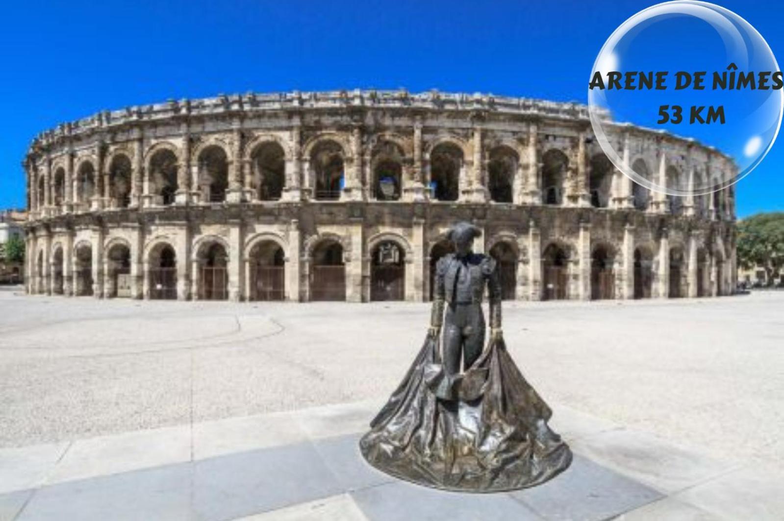 Apartment Le Cosy Du Gal, A 2 Pas Du Palais Des Papes Parking Gratuit Securise *