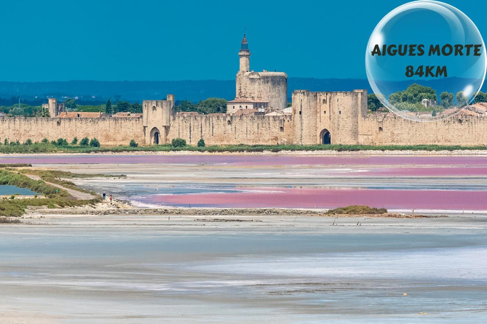 Le Cosy Du Gal, A 2 Pas Du Palais Des Papes Parking Gratuit Securise Avignon