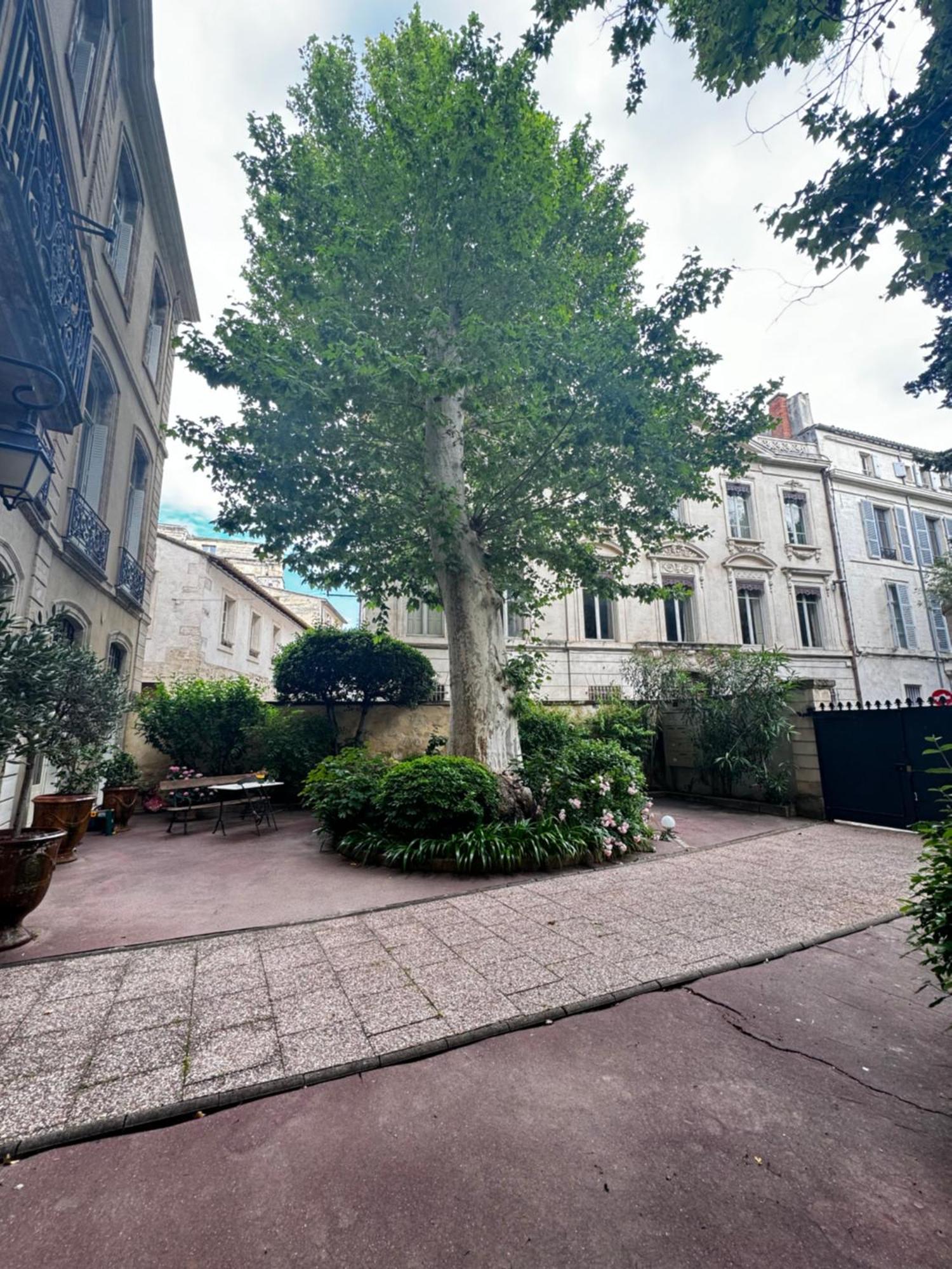 Apartment Le Cosy Du Gal, A 2 Pas Du Palais Des Papes Parking Gratuit Securise *