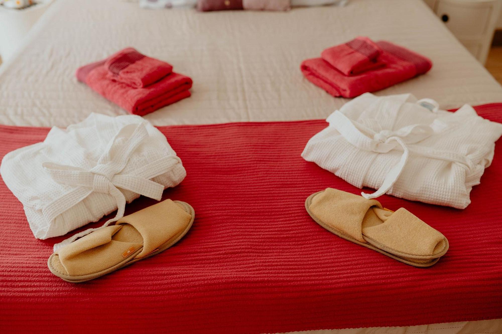Apartment Le Cosy Du Gal, A 2 Pas Du Palais Des Papes Parking Gratuit Securise